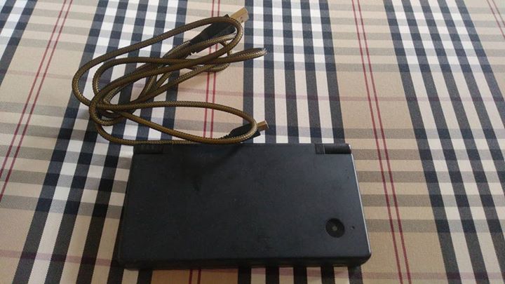 dsi-02.jpg