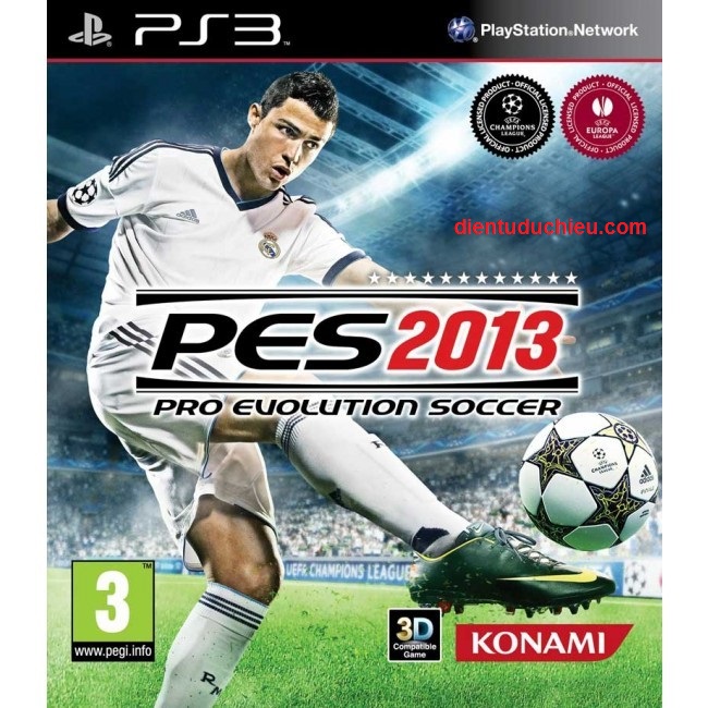 PES 2013.jpg