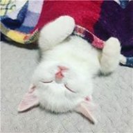 Lotinose