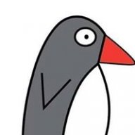 black penguin
