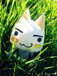 Mr. kuro