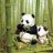 pandaghost